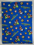 Book Cover: Super Mario World