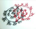 Artistic depiction of intertwined black and red branches on a white background